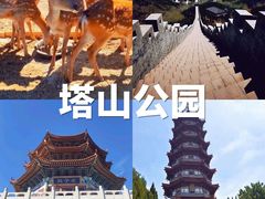 -龙口南山旅游景区