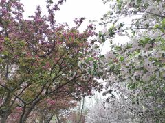 -元大都城垣遗址公园