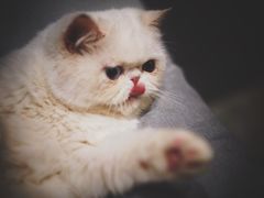 -BE NORMAL CAFE(霞溪路店)