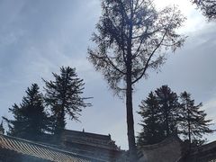 -五台山风景名胜区