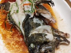 -新悦·霞浦海鲜生(上下杭店)