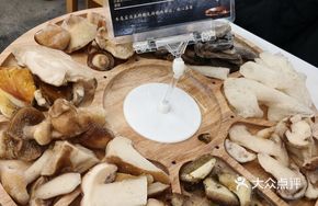 Eight Mushroom Platter