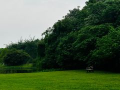 -艾溪湖湿地公园