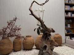 -抚仙湖禄充风景区
