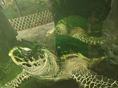 -云南野生动物园