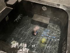 -嘉兴清池酒店温泉