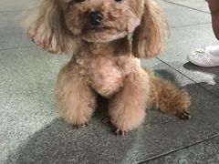 -直隶安家牛肉罩饼(建华店)