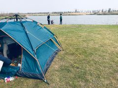 -春花秋色城市公园