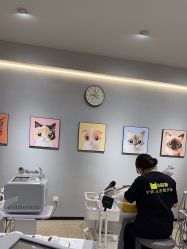 -洗脸猫·洗脸吧