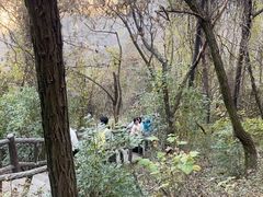 -秦岭终南山世界地质公园翠华山景区