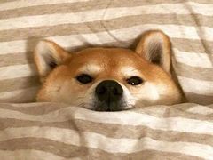 -City1+1城市比萨·意面(桂林路店)