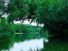 -西溪国家湿地公园