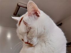 -亦庄创意生活广场