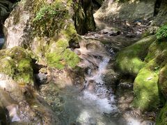 -神农架景区
