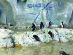 -珠海长隆海洋王国