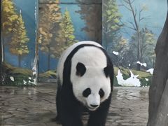 -南宁市动物园