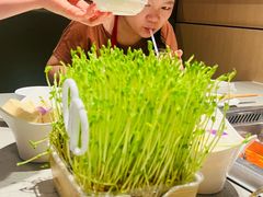 -海底捞火锅(珠影星光城夜宵主题店)