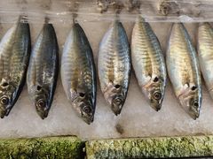 -天然居·漳港海鲜·海景餐厅(南澳总店)