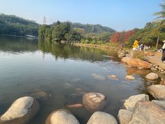 -深圳仙湖植物园