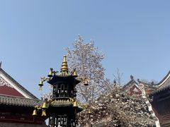 -长春观