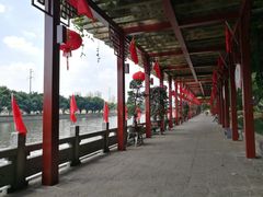 -光明港公园