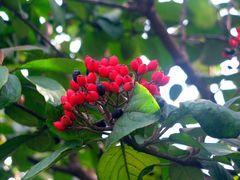 -昆山城市生态森林公园