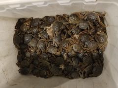 -清真海鲜大排档(原芥园道店)