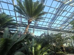 -国家植物园南园