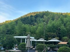 -莫干山风景区