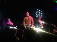 -拉斯维加斯猛男秀