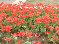 -朝阳公园游乐园