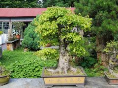 -庐山风景区花径公园