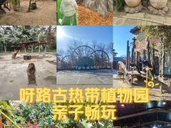 -呀路古热带植物园