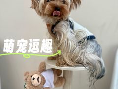 -凯德广场(金牛店)