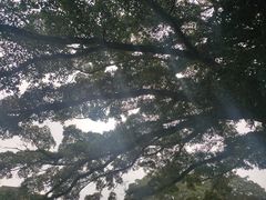 -福建土楼(南靖)景区