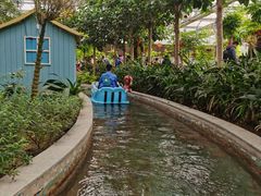 -南宫五洲植物乐园