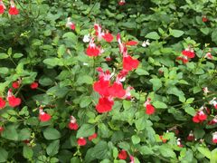 -沙河三洞古桥公园