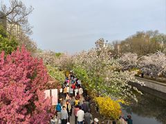 -元大都城垣遗址公园