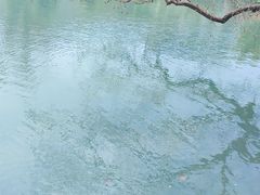 -树山生态村