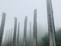 -宝莲禅寺