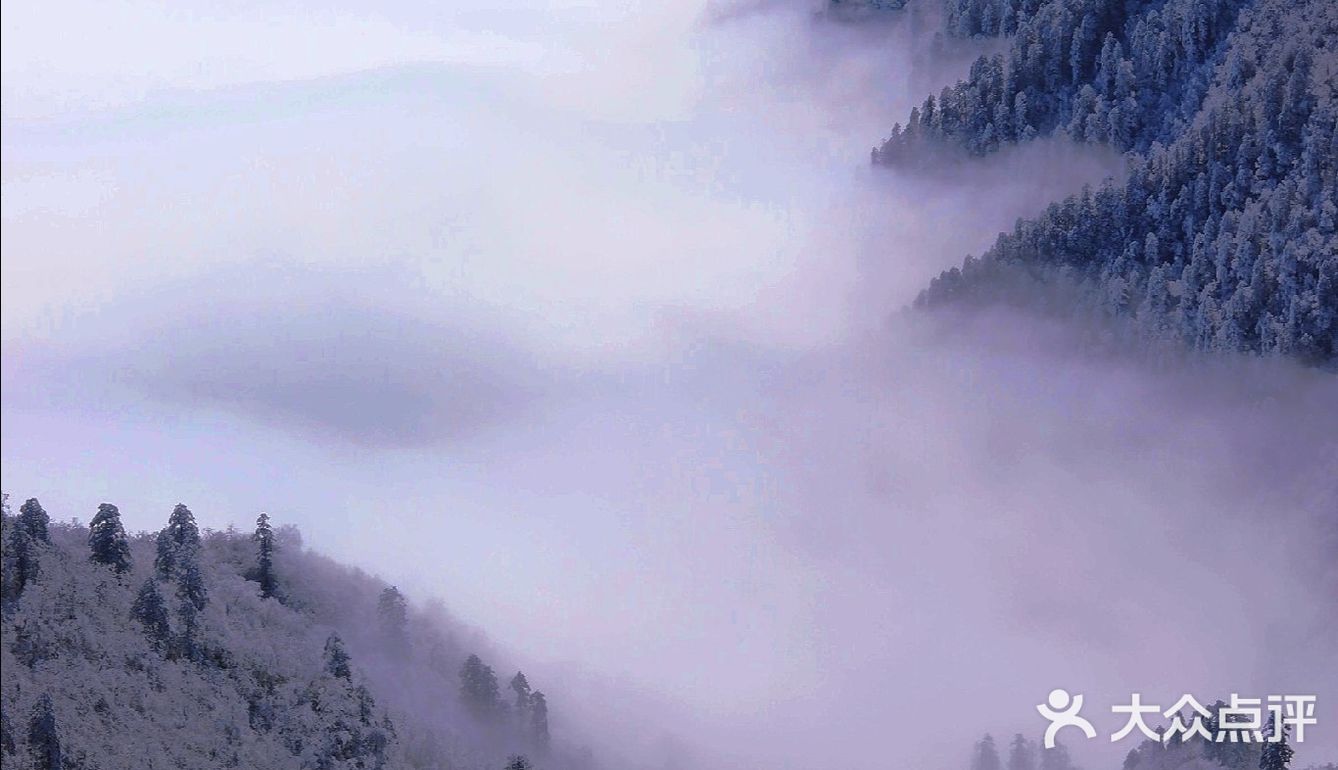 昨天的西岭雪山