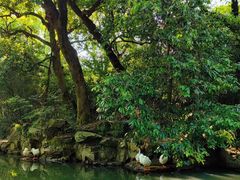 -兰亭风景区