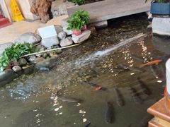 -顺峰·粤菜海鲜·早茶自助(阜成店)