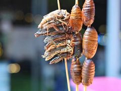 -凤城·食都