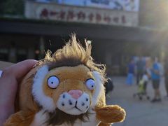 -广州长隆野生动物世界