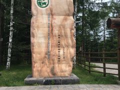 -峡谷浮石林景区