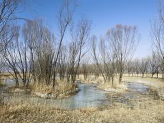 -野鸭湖国家湿地公园