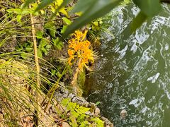 -华蓥山天意谷景区