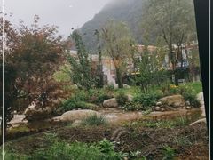 -青峰峡国家森林公园