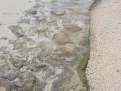 -石螺口海滩